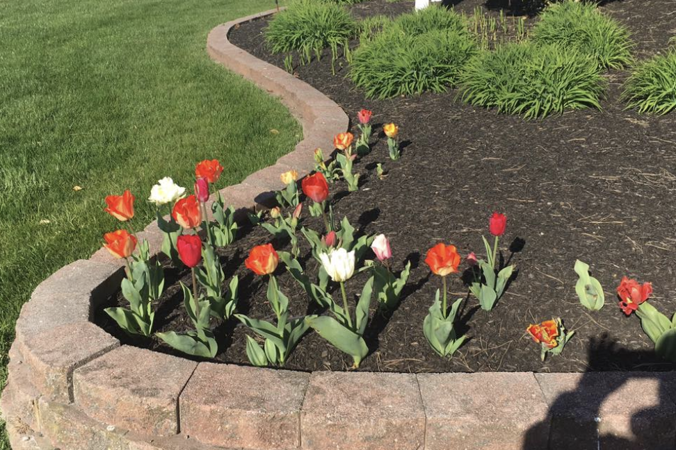 Cape Atlantic Landscaping – Proudly Serving The Cape May Area