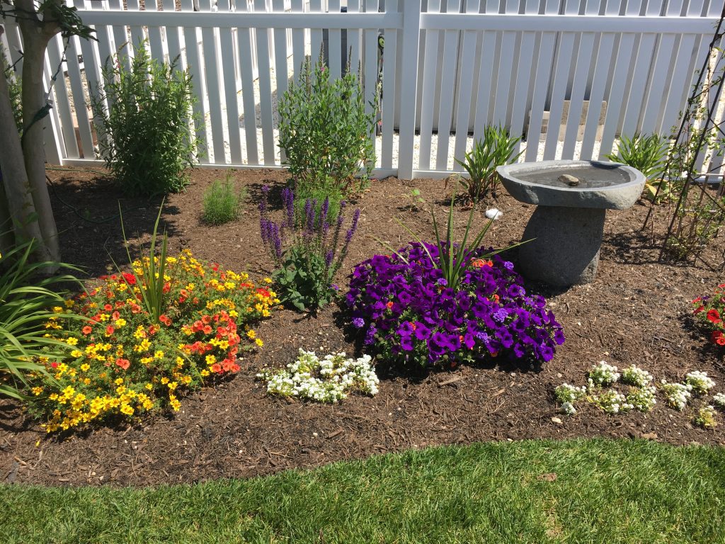 Services – Cape Atlantic Landscaping