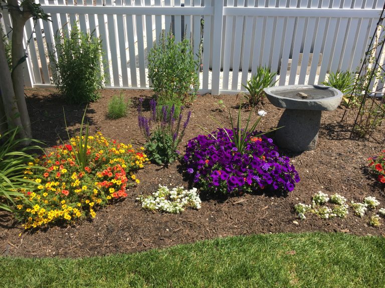 Services Cape Atlantic Landscaping